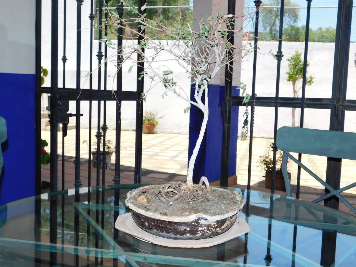 فندق غواناخواتوفي  Casa Erizo 39 (Adults Only) المظهر الخارجي الصورة