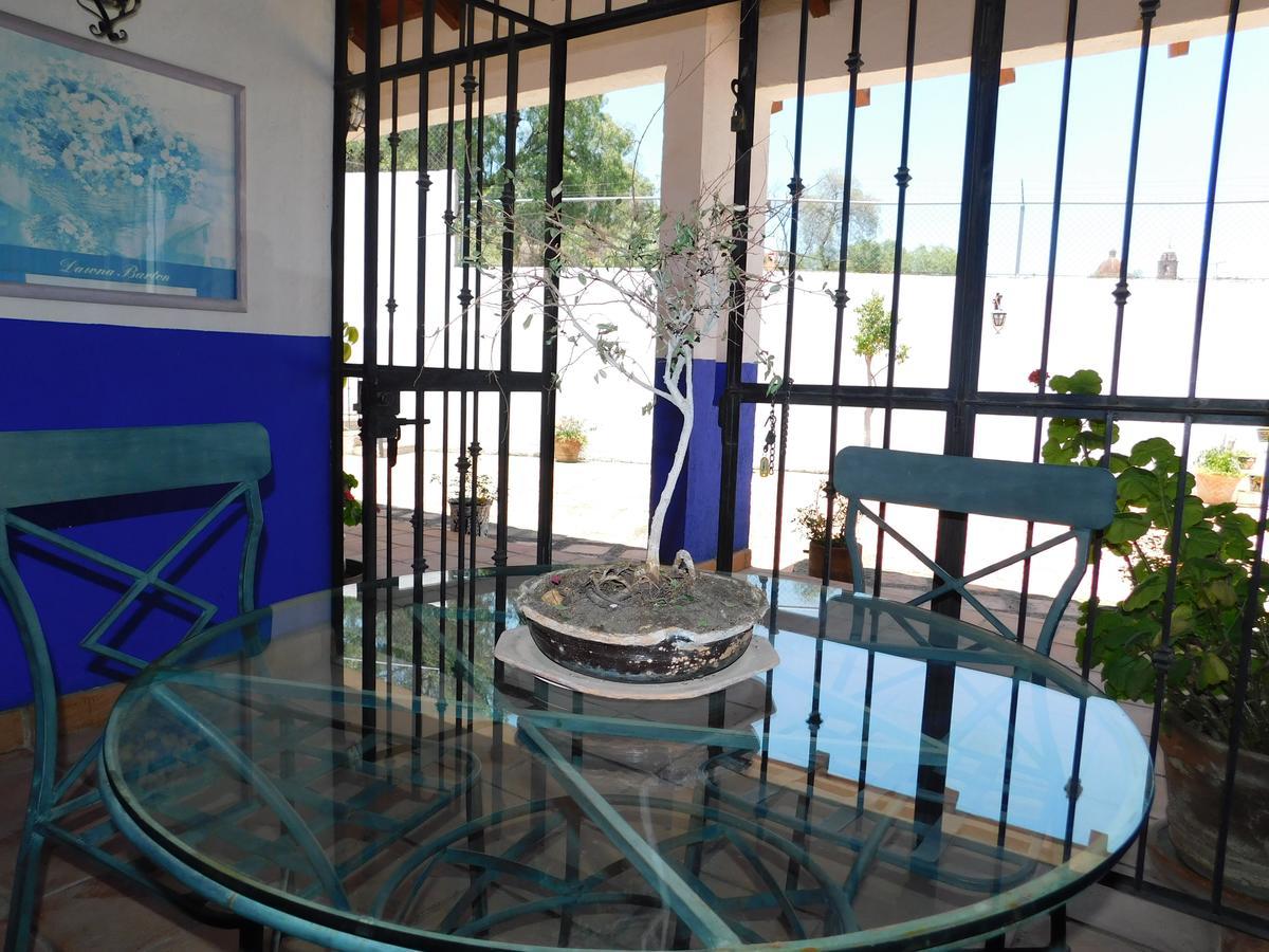 فندق غواناخواتوفي  Casa Erizo 39 (Adults Only) المظهر الخارجي الصورة