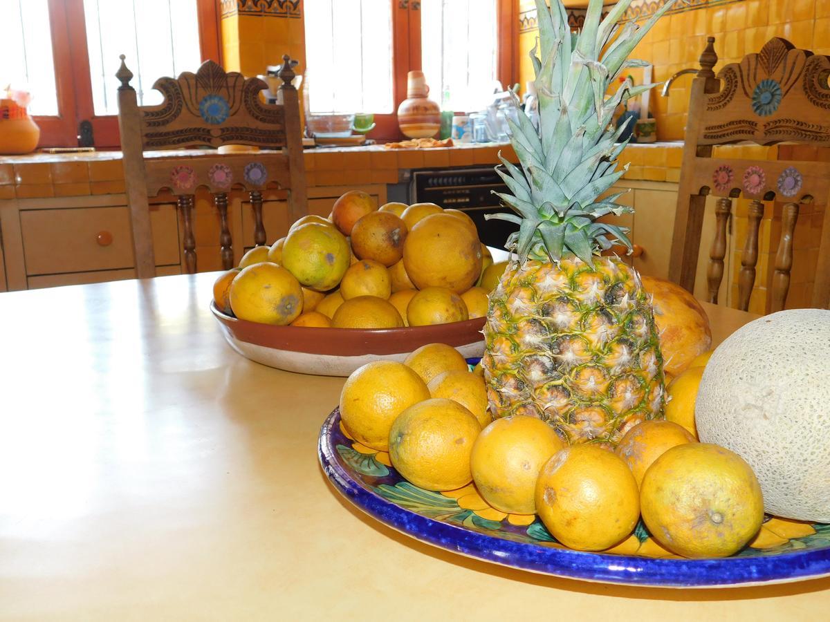 فندق غواناخواتوفي  Casa Erizo 39 (Adults Only) المظهر الخارجي الصورة